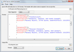 DTM Text to JSON Converter - náhled