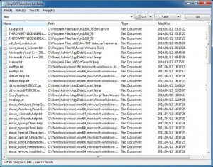 AnyTXT Searcher - náhled