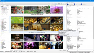 Video File Browser - náhled