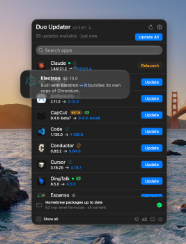 Duo Updater - náhled
