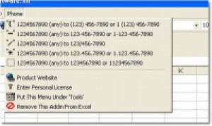 Excel Convert Phone Numbers Software - náhled