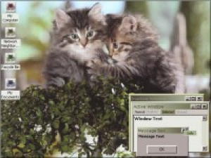 Tabby Duo - náhled