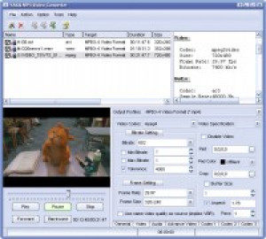 YASA MP4 Video Converter - náhled