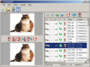 AntiDupl.NET  - náhled