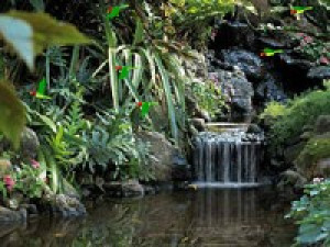 Living Waterfalls - náhled
