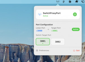 SwitchProxyPort - náhled