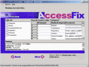 AccessFix - náhled