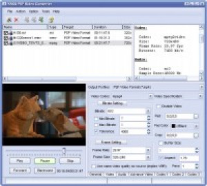 YASA PSP Video Converter - náhled