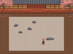 Zen Puzzle Garden - náhled