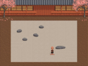 Zen Puzzle Garden - náhled