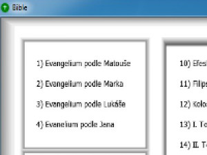 Bible nový zákon - náhled