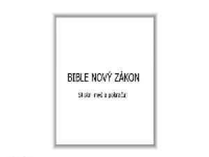 Bible nový zákon - náhled