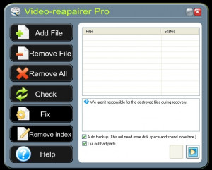 Video-Repairer - náhled
