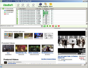 FLV Downloader - náhled