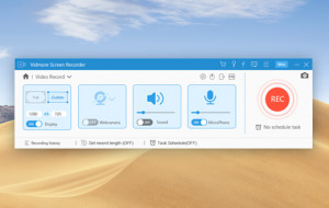Vidmore Screen Recorder - náhled