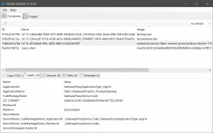 Docker Explorer - náhled