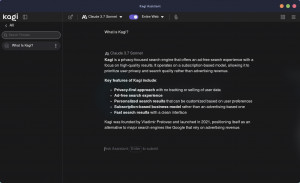 Kagi Assistant Desktop - náhled