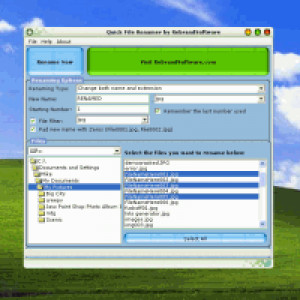 Quick File Renamer - náhled