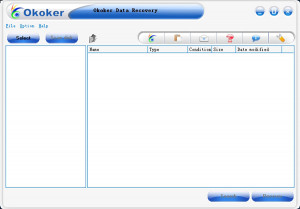 Okoker Data Recovery - náhled