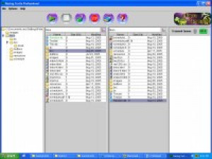 Racing Turtle FTP - náhled