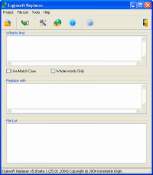 Erginsoft Replacer - náhled