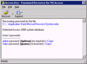 Access Key - náhled