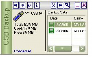 USB Flash Drive Backup - náhled