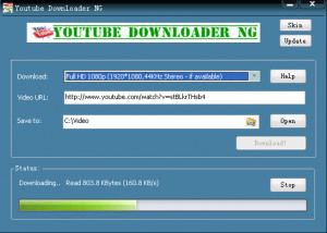 YouTube Downloader NG - náhled