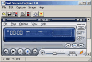 Fast Screen Capture - náhled