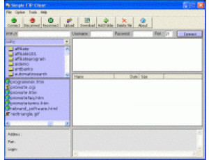 Sami FTP Server - náhled