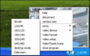 VideoThumb 2 - náhled