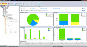 Lepide SQL Storage Manager - náhled