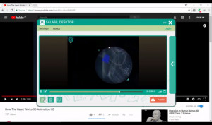 Salasil Desktop - náhled