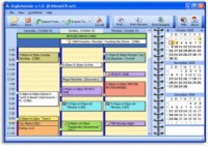 OrgScheduler - náhled