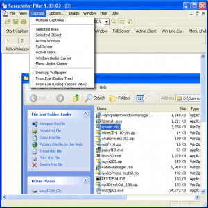 Screenshot Pilot - náhled