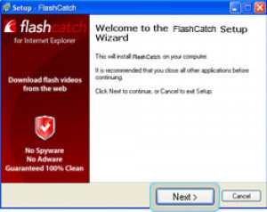 FlashCatch - náhled