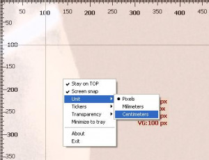 WonderWebware Screen Ruler - náhled