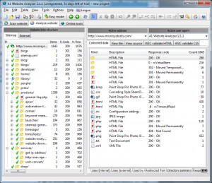 A1 Website Analyzer - náhled