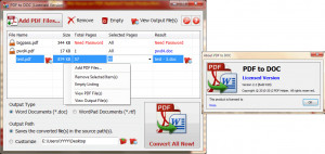 PDF to DOC - náhled
