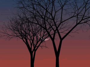 1 Moon Above - náhled
