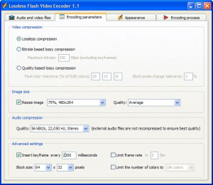 Lossless Flash Video Encoder - náhled