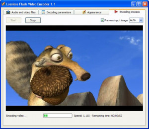 Lossless Flash Video Encoder - náhled
