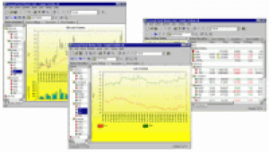 Personal Stock Monitor - náhled
