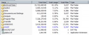 Aurionix FileUsage - náhled