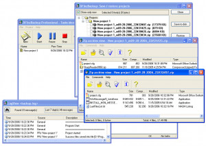 DFIncBackup Standard - náhled