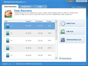 WinMend Data Recovery - náhled