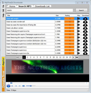 Mp3FreeZe Downloader - náhled