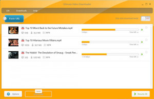 Ultimate Video Downloader - náhled