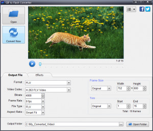 GIF to Flash Converter - náhled