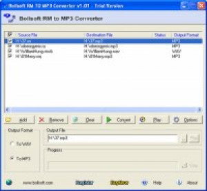 RM to MP3 Converter - náhled